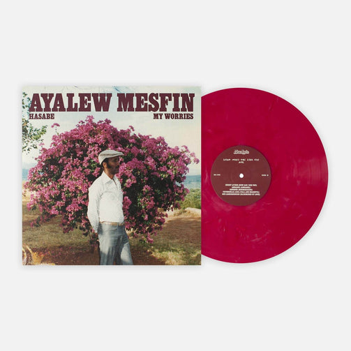 Ayalew Mesfin 'Hasabe (My Worries)'