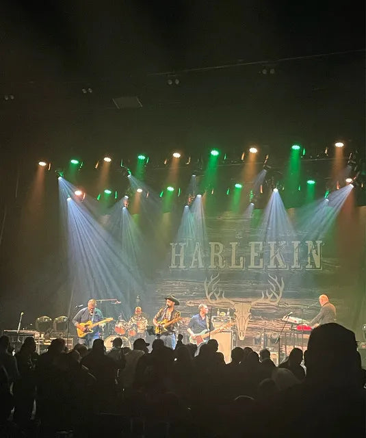 Harlekin featured in a blog about vinyl records and discography