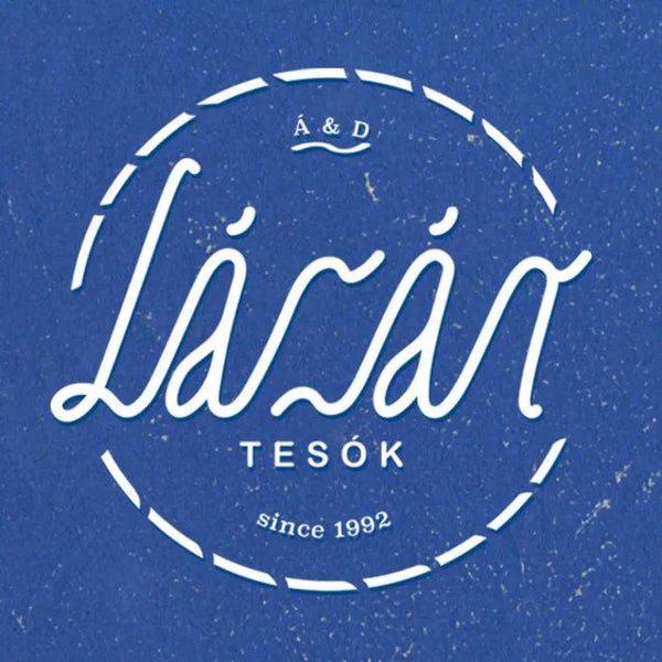 Lázár tesók featured in a blog about vinyl records and discography