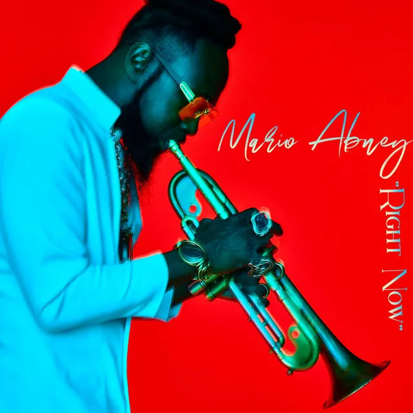 Mario Abney featured in a blog about vinyl records and discography