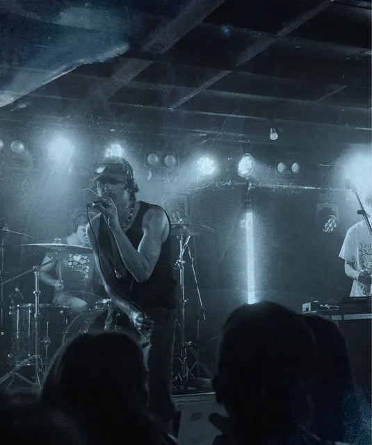Shehatesjacob featured in a blog about vinyl records and discography