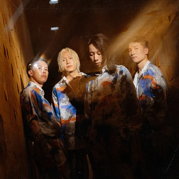 Sweet Mullet featured in a blog about vinyl records and discography