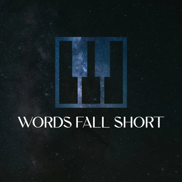 Words Fall Short featured in a blog about vinyl records and discography