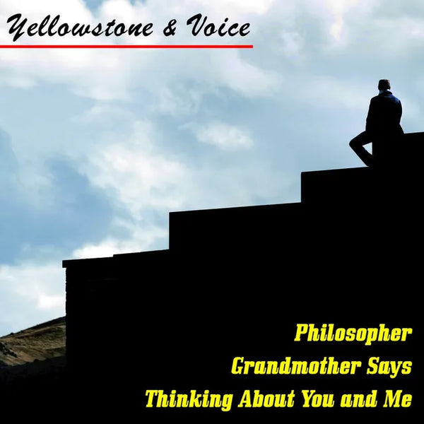 Yellowstone & Voice featured in a blog about vinyl records and discography